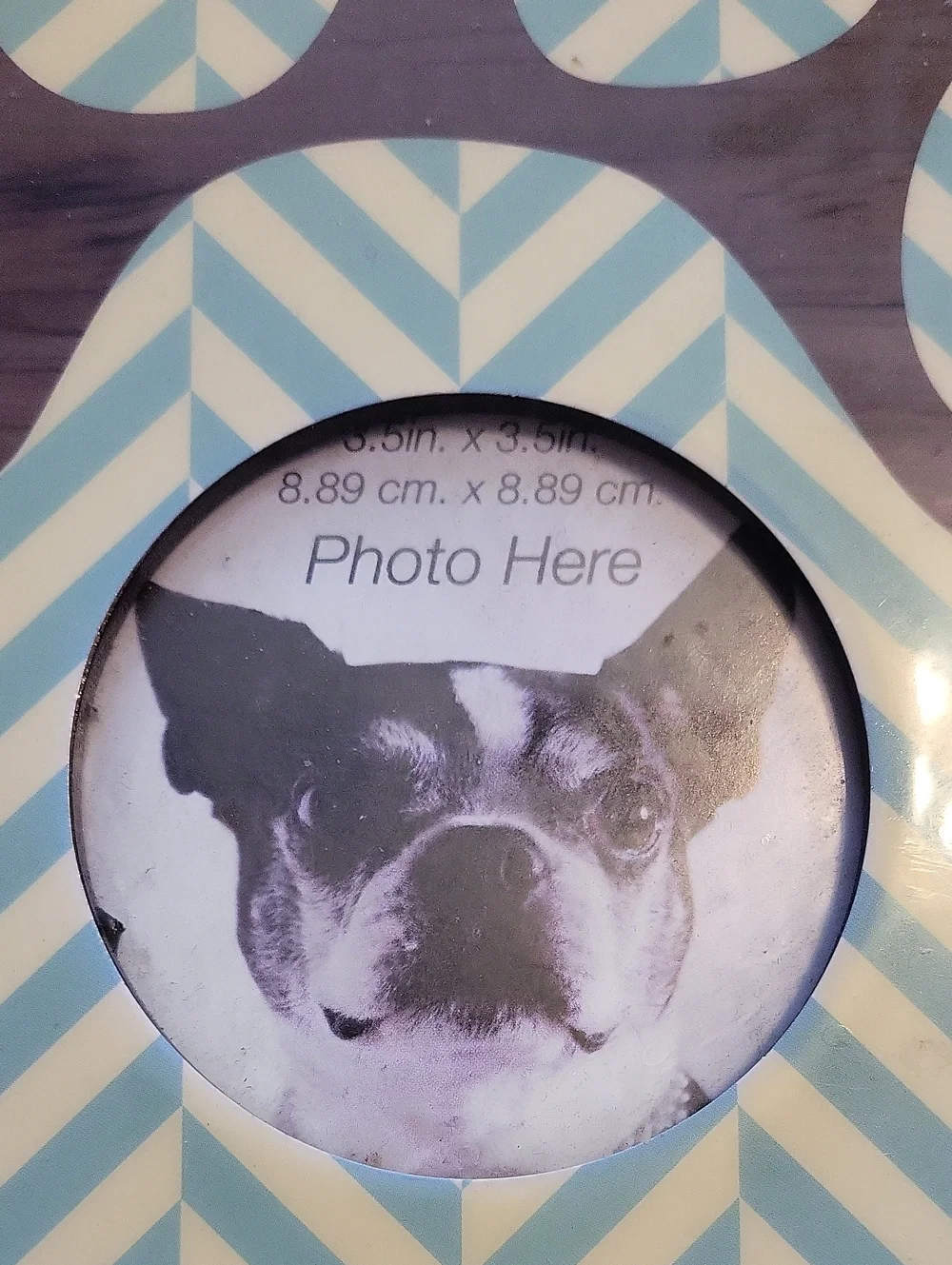 Pet Paw-Shaped Photo Frame - Blue & Cream